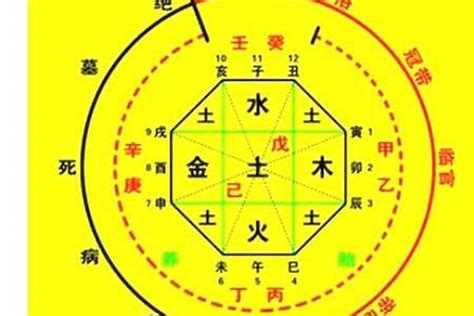 五行忌金|八字五行忌金是什么意思？五行忌金要注意哪些方面？